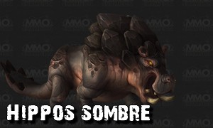 thumb_modele_bestiaire_hippos2