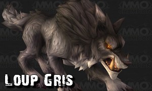 thumb_modele_bestiaire_loup3