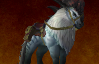 thumb_monture_wod_broutepine