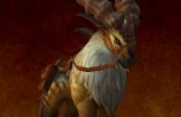 thumb_monture_wod_cours-routes