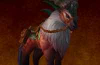 thumb_monture_wod_etalon