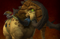 thumb_monture_wod_foule-prairie