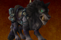 thumb_monture_wod_garn