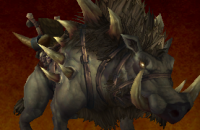 thumb_monture_wod_grisebroche