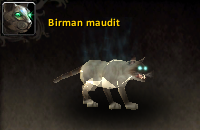 thumb_mascotte_birman_sanssaint