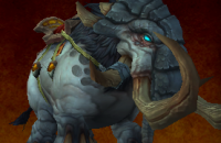 thumb_monture_brochepelle