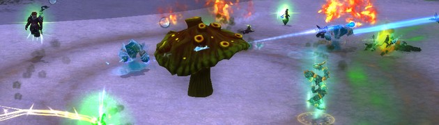 header_fougerme_champignon-spirituel