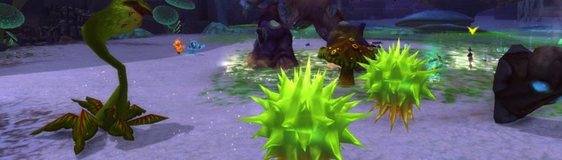 header_fougerme_champignon-spore