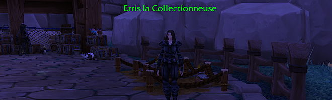 header_erris_mascotte