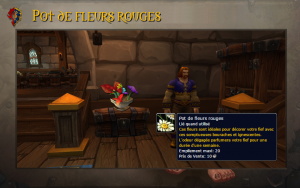 presentation_potfleurs