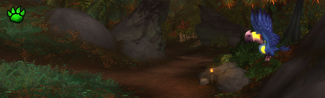 header_mascottes_sauvages62