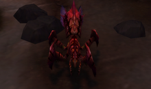 thumb_mascotte_epinesanglante62