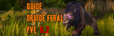 Guide Druide Féral PvE 6.2