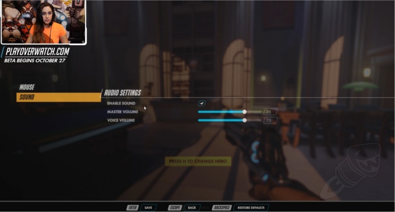 overwatch_stream_interface01