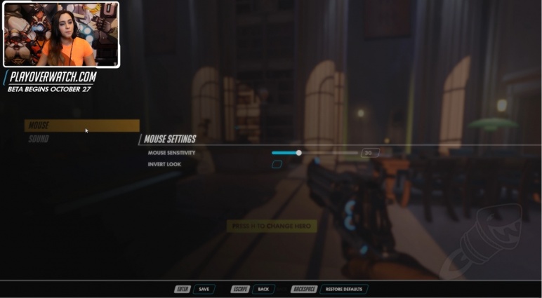 overwatch_stream_interface02