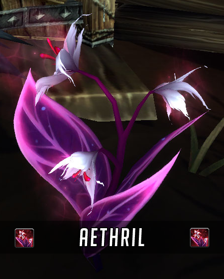 Aperçu de l'Aethril apercu_plante_herboristerie_aethril_legion