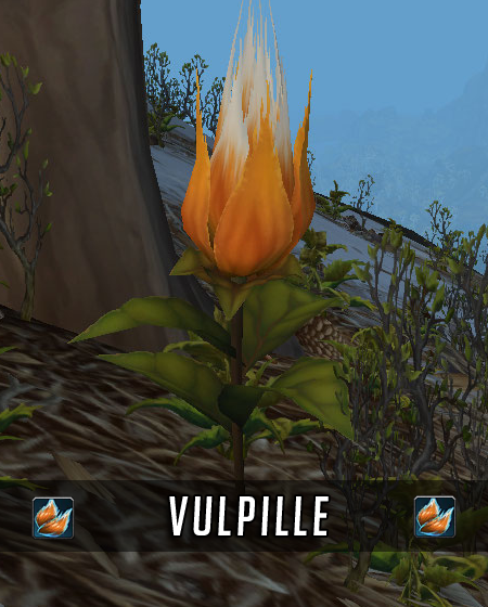 Aperçu de la Vulpille