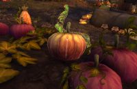 Les citrouilles à récupérer au camp des Crins-de-Rive screenshot_alchimiste_legion_metier2 (19)