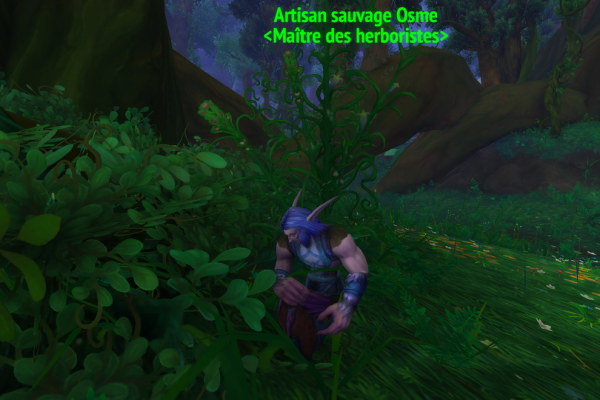 L'artisant Osme est disponible aux alentours de Lorlathil screenshot_artisant_osme_herboristerie_songefeuille_legion
