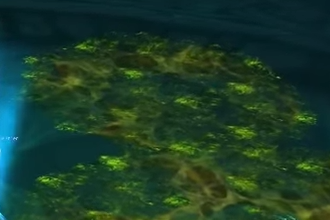 helya_raid_jugement_gelee02