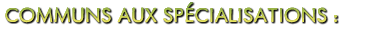 titre_specialisationcommun_legion