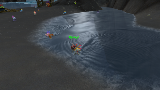 apercu_minifete_tetard