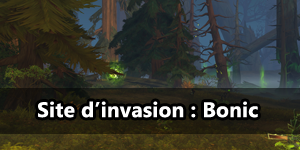 Aperçu du site d'invasion : Bonic