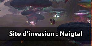 Aperçu du site d'invasion : Naigtal