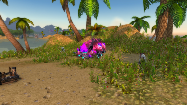 apercu_basilic_strangleronce_appareilphoto