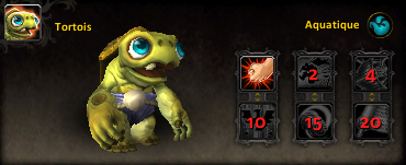 apercu_mascotte_bfa_precommande_tortois