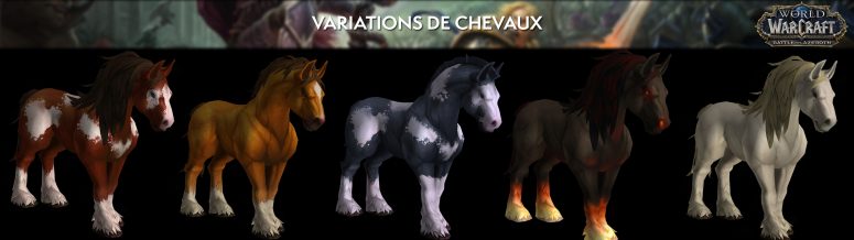 apercu_modele_comparaison_bfa_chevaux_variations