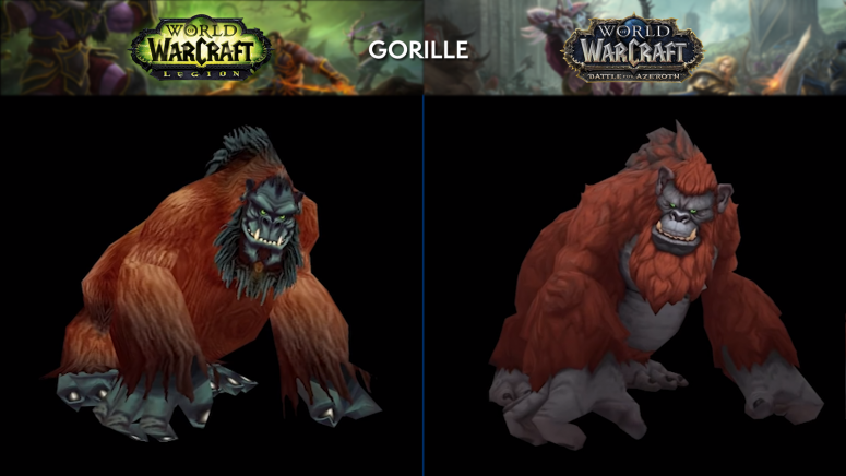 apercu_modele_comparaison_bfa_gorille