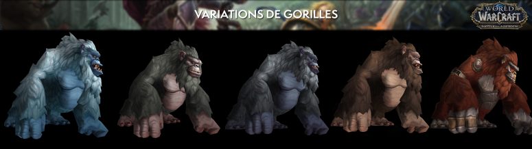 apercu_modele_comparaison_bfa_gorille_variations