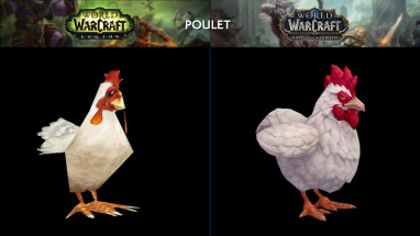 apercu_modele_comparaison_bfa_poulet