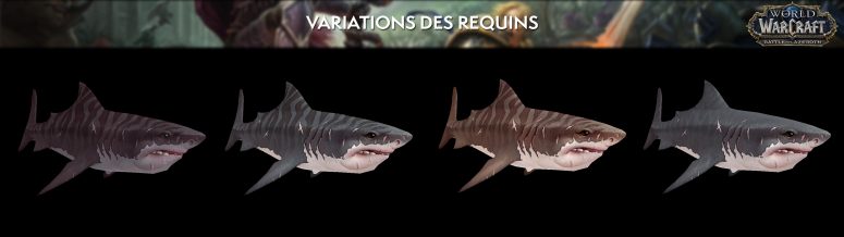 apercu_modele_comparaison_bfa_requin_variations