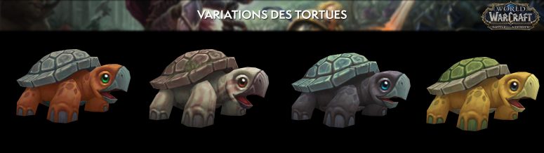 apercu_modele_comparaison_bfa_tortue_variations