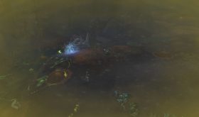 Aperçu du donjon de Tol Dagor (3)