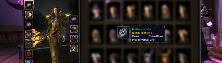 background_transmogrification_gants_bfa_option