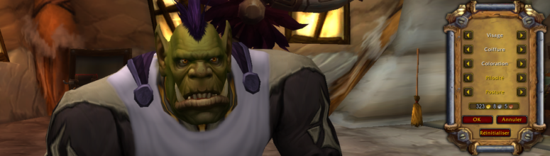 screenshot_apercu_salondecoiffure_bfa_orcredresse