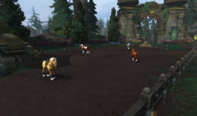 screenshot_bfa_norwington_centreequestre (3)