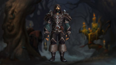 Aperçu de l'ensemble d'armure : Cuir apercu_ensemblearmure_drustvar_alliance_cuir