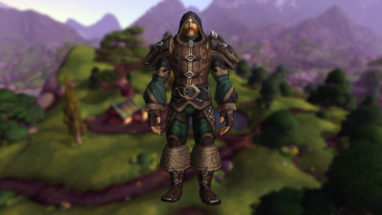 apercu_ensemblearmure_vallechantorage_alliance_cuir