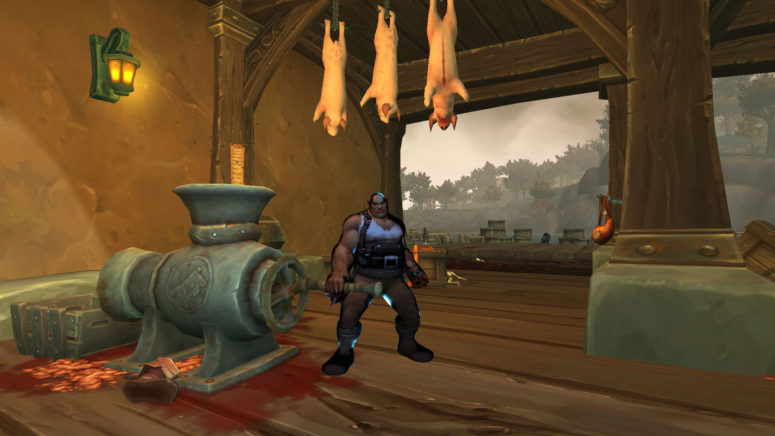 Aperçu de la région de Drustvar (16)