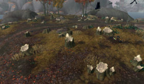 Aperçu de la région de Drustvar (25)