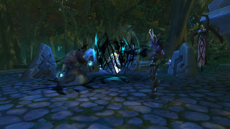 Aperçu de la région de Drustvar (36)