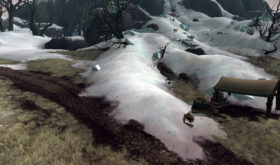 Aperçu de la région de Drustvar (39)