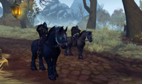 Aperçu de la région de Drustvar (68)