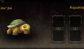 apercu_mascotte_beta_bfa_coupa