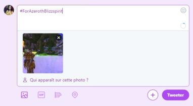 apercu_bfa_concours_forazeroth_tweet01