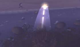 apercu_bfa_expedition_tortollan_tetedepont01